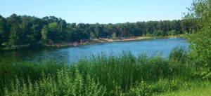 Walsdschwimmbad Rüsselsheim