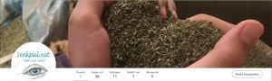 Screenshot Twitter-Account