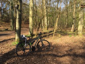 Trekkingrad im Wald