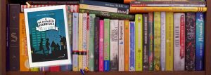 Cover „Mr Griswolds Bücherjagd“ vor Bücherregal