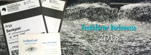 Eintrittskarten und Visitenkarte vor Springbrunnen am Agora-Fluß
