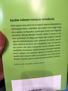 Buch mit Blindtext auf der Rückseite.